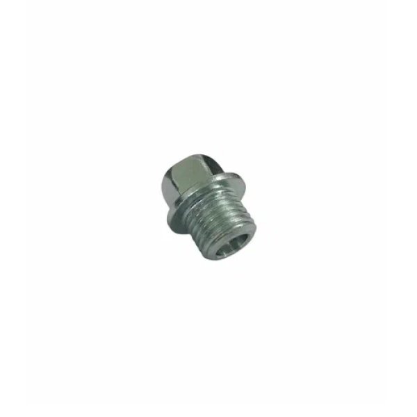 Пробка M14X.15X12 21120104001 Aodes оригинал