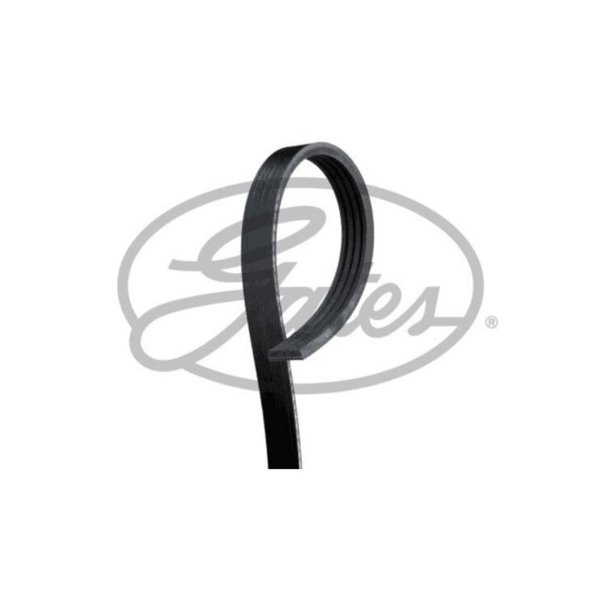 Ремень ручейковый 4PK806SF Gates